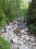 Kliknij by wejść pieniny_018_t1.jpg