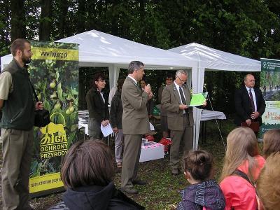 moj_las2013_01.jpg