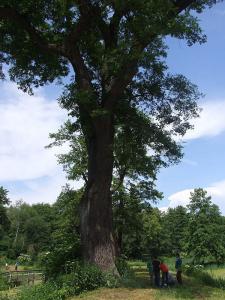 spotkania_ekologiczne_094.jpg