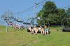 Kliknij by wejść zielona2013_061_t1.jpg