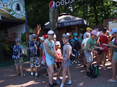zielona2013_116.jpg