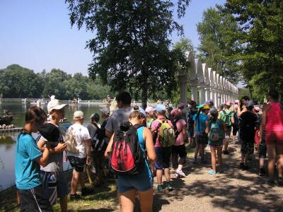 zielona2013_144.jpg