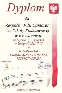 patriotyczna_06.jpg