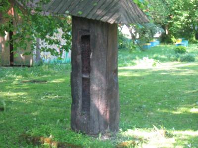 bystrzyca_020.jpg