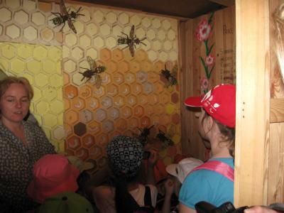 bystrzyca_029.jpg