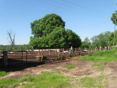 bystrzyca_031.jpg