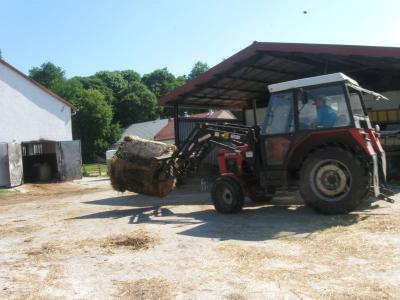 bystrzyca_036.jpg