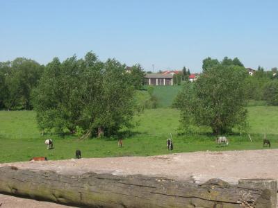 bystrzyca_038.jpg