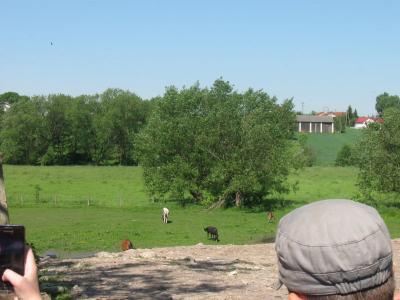 bystrzyca_040.jpg