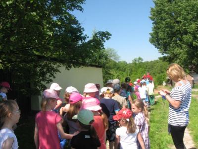 bystrzyca_044.jpg