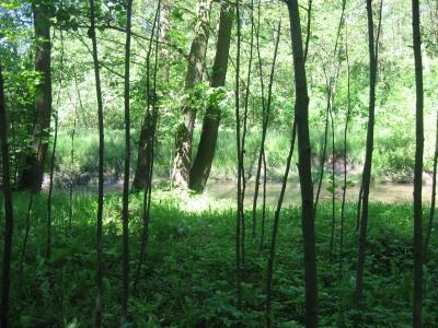 bystrzyca_045.jpg