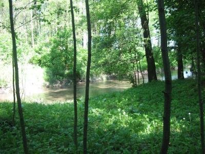 bystrzyca_046.jpg