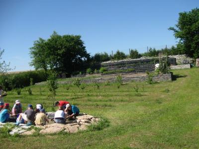 bystrzyca_070.jpg