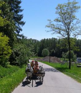 bystrzyca_096.jpg
