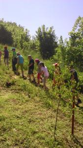 bystrzyca_144.jpg