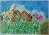 Kliknij by wejść przyrodniczy_2015_39_t1.jpg