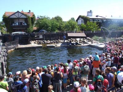 zielona_2015_69.jpg