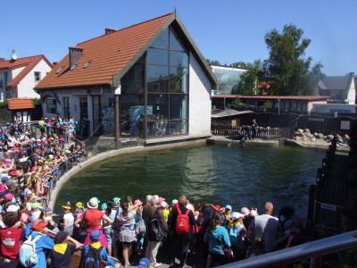 zielona_2015_71.jpg