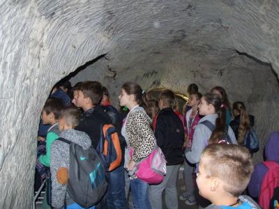 chelm_poleski_02.jpg