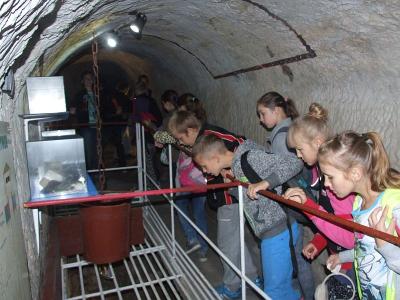 chelm_poleski_03.jpg