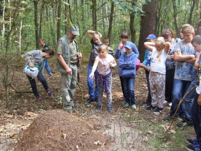 chelm_poleski_08.jpg