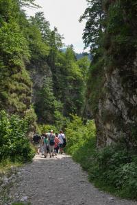 Pieniny_2016_07.jpg