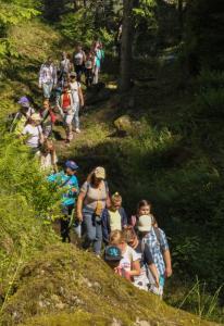 Pieniny_2016_32.jpg