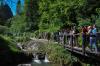 Kliknij by wejść pieniny_2016_82_t1.jpg