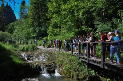 Pieniny_2016_82.jpg