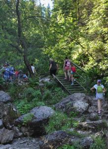 Pieniny_2016_87.jpg