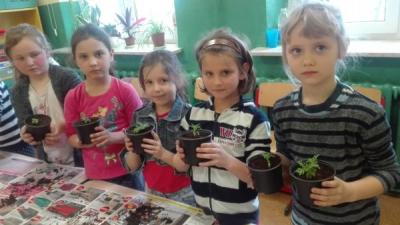 foto11.jpg