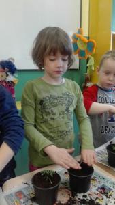 foto13.jpg