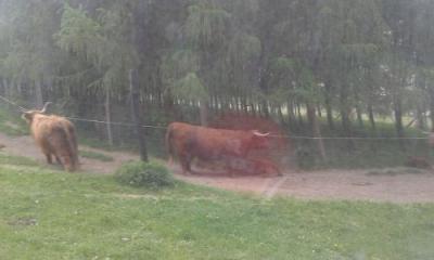 foto17.jpg