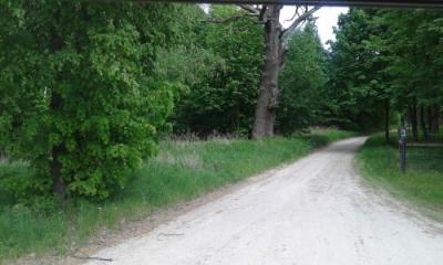 foto22.jpg