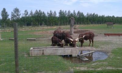 foto23.jpg