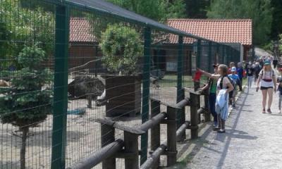 foto31.jpg
