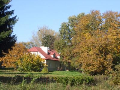 09.jpg