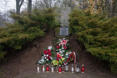foto24.jpg