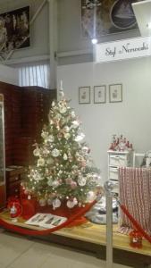 foto11.jpg