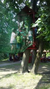 foto23.jpg