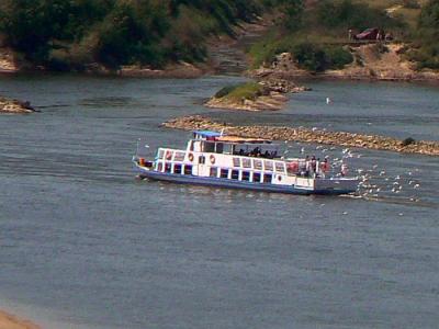 Kazimierz_2011_054.jpg