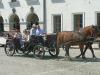 Kliknij by wejść kazimierz_2011_085_t1.jpg