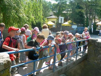 Kazimierz_2011_089.jpg