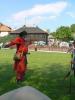 Kliknij by wejść kazimierz_2011_109_t1.jpg