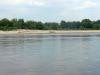 Kliknij by wejść kazimierz_2011_126_t1.jpg