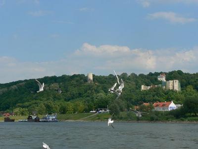 Kazimierz_2011_127.jpg