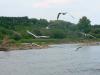 Kliknij by wejść kazimierz_2011_136_t1.jpg