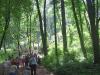 Kliknij by wejść jura2011_012_t1.jpg