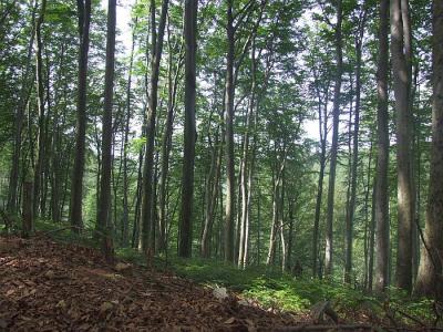 Jura2011_030.jpg