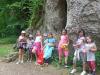 Kliknij by wejść jura2011_062_t1.jpg
